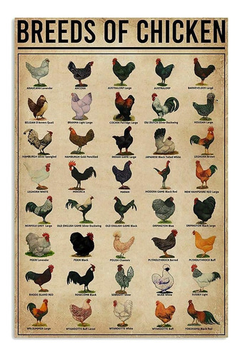 Póster De Razas De Pollos, De Metal, Vintage, Para Cafetería