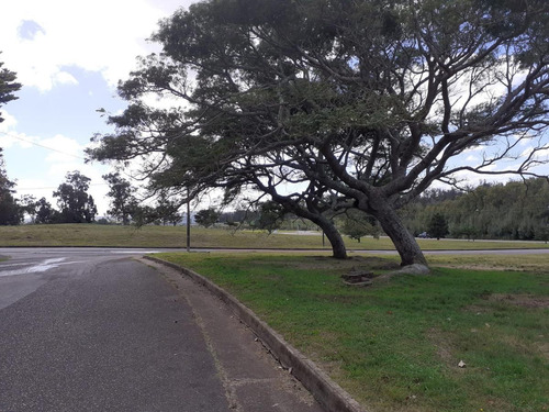 Imagen 5 de 7 de Terreno De 1.000 M2 En Beverly Hills, Punta Del Este.
