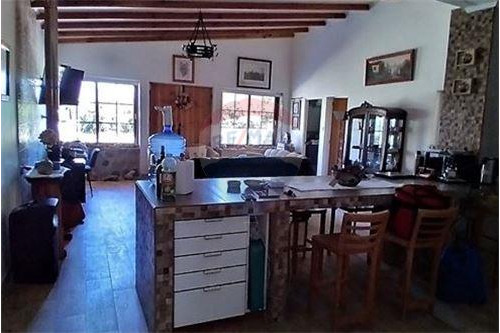 Campo En Venta - Colliguay- Iv Region-paltas