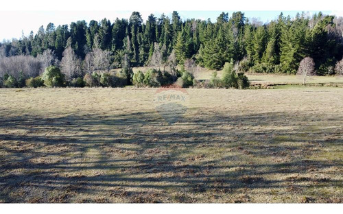 Field In Cunco Of 21.27 Ha. Incredible Opportunity