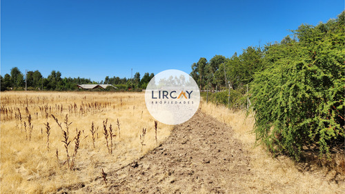 En Venta Terreno De 7 Hectáreas, Talca, Panguilemu.