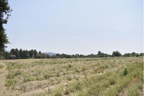 Terreno En Atlautla