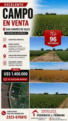 Campo Mixto 96 Ha - Excelente Ubicación Autopista 7 - Giles / Cucullú)