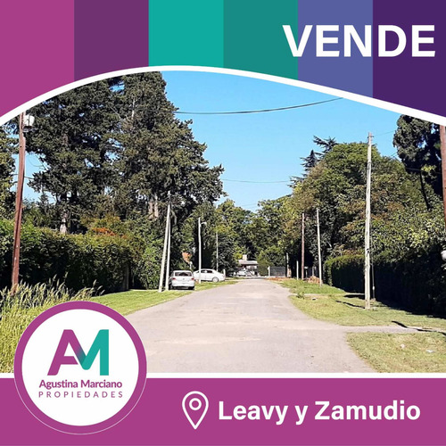 Imagen 1 de 5 de Lotes En Venta! 1000 M2