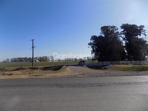Imagen 12 de 27 de Terreno Campo En Venta En Carmen De Areco, Resto De La Provincia, Buenos Aires