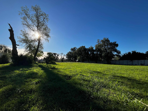 Terreno/lote En Venta Y Alquiler En Parque Industrial Polo 21- Merlo-