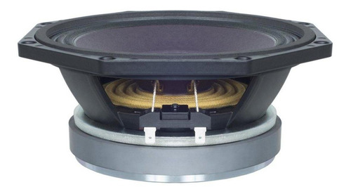 Altavoz De Rango Medio 8pe21-8 Ohm