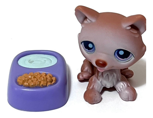 Littlest Pet Shop #37 Husky Perro Bronceado Ojos Púrpura Acc (Usado)