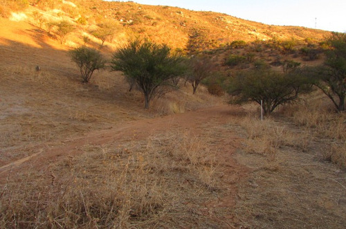 Se Vende Parcela De 14.350 Mts2, Comuna De Curacaví.
