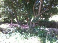 Imagem 14 de 14 de Terreno Medindo 400mts2 Mais 600 De Area De Preservação B.