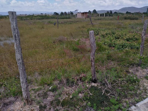 Imagen 7 de 8 de Terreno En Venta San Vicente Buena Vista