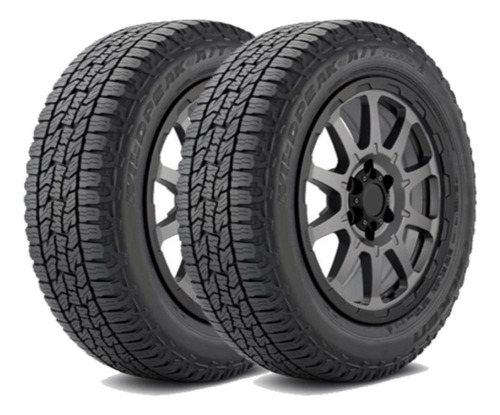 Set 2 Neumaticos - 225/55r19 Falken Wpattr At 99v Th