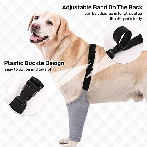 Traje De Recuperación Para Perros Para Patas Delanteras, Ma