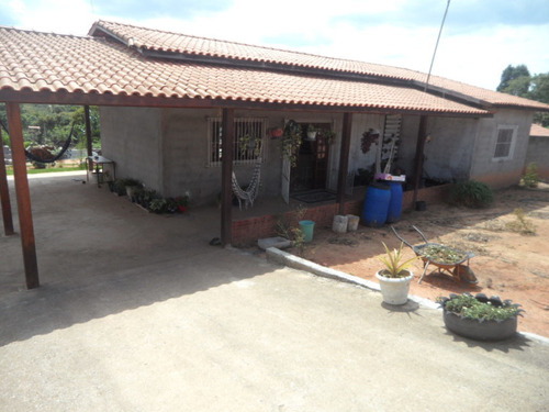 Imagem 1 de 14 de Ibiúna; Chácara Hôu, Hôu, Hôu, Presentão De Natal; 1.000 M2