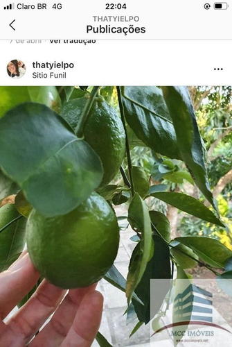 Imagem 21 de 27 de Chácara Com 8ha A Venda Em Guarabira, Paraíba