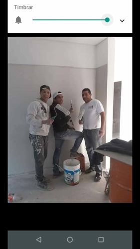 Imagen 3 de 5 de Pintor De Obras Y Albañil