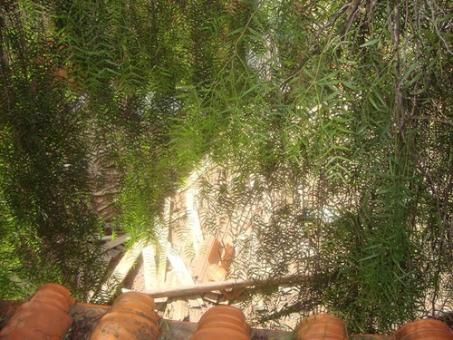 Imagem 3 de 8 de Lote Para Comprar No Jardim Vitória Em Belo Horizonte/mg - 116