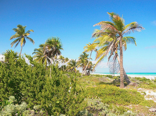 Imagen 1 de 6 de Terreno Frente Al Mar A La Venta En Mahahual