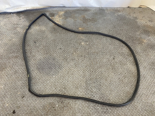 Hule Puerta Delantera Derecha Mazda Cx9 Mod 10-12 (Usado)
