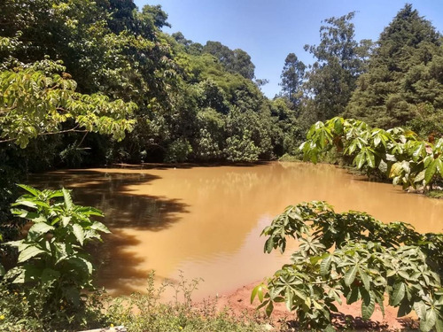 Imagem 3 de 21 de Terreno Em Parque Rizzo Ii, Cotia/sp De 1380m² À Venda Por R$ 160.000,00 - Te463143-s