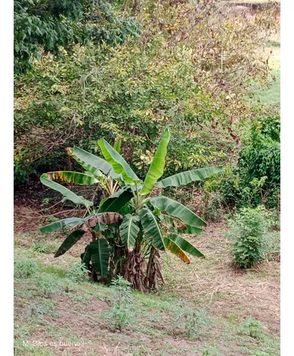 Lote En Venta, Ubicado En Turbaco,bolivar