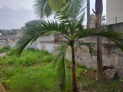 Casa Térrea Com 3 Quartos , Edicula E Terreno