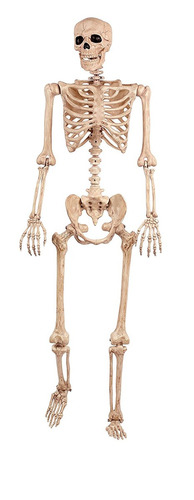 Loco Bonez Pose-n-stay Skeleton