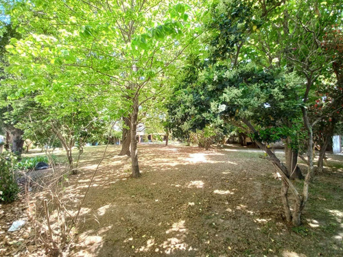 Imagen 7 de 14 de Lote Venta Tigre