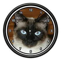 Comprar Signmission Beagle Siamés Reloj De Pared Gatito Propietario