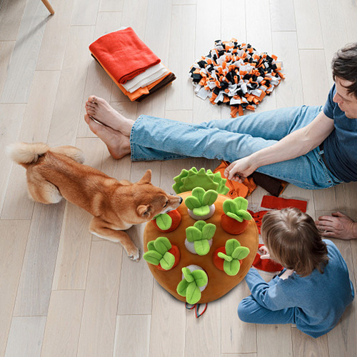 Juguete Para Perros Hide And Seek Squeak, Herramienta De Ent