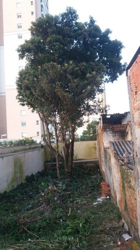 Imagem 8 de 10 de Maravilhoso Terreno Há 200 M Do Metro Parada - Al15