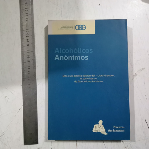 Alcohólicos Anónimos El Libro Grande Nuestros Fundamentos.