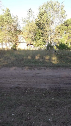 Imagen 2 de 6 de Oportunidad