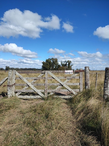Hectareas En Venta En Oliden