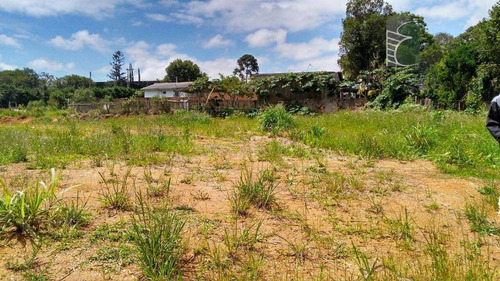 Imagem 6 de 12 de Área Industrial À Venda, Braga, São José Dos Pinhais - Ar0017. - Ar0017