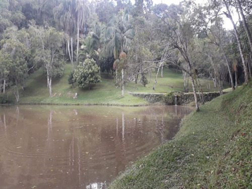 Imagem 9 de 15 de Sitio - 403 - 69427609