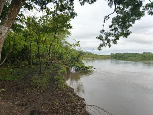 Finca Cienaga Del Opon