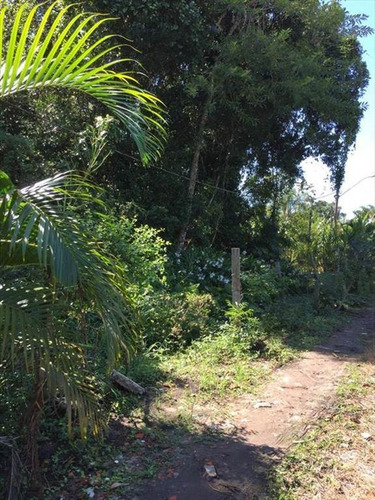 Imagem 1 de 8 de Terreno - Venda - Santa Terezinha - Itanhaem - Ita2323