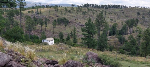 Venta De Campo Y Vivienda En La Cumbrecita