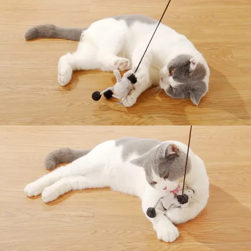 Varita Para Gatos, Regalo De Paz, Bonita Varita Interactiva