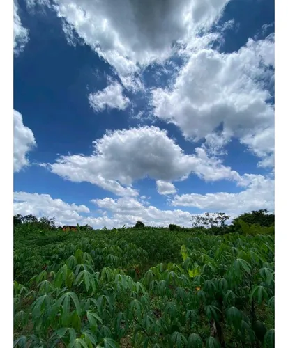 Finca Para La Venta De 5 Cuadras En Circasia