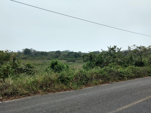 Venta Rancho 50 Hectareas Tampache Tamiahua Veracruz