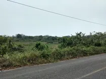 Comprar Venta Rancho 50 Hectareas Tampache Tamiahua Veracruz