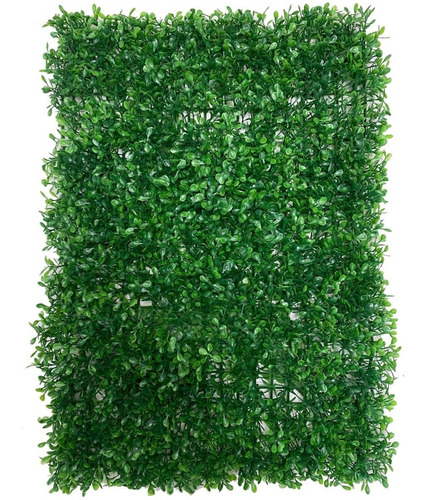 Placa De Buchinho Eucalipto Amendoim 40x60 Muro Verde