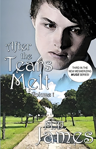 After The Tears Melt - Vol. 1: (book 3 Of The New, Mesmerizing, Muse Series), De James, M.d.. Editorial Createspace Independent Publishing Platform, Tapa Blanda En Inglés