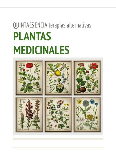 Plantas Medicinales (argentina Y Países Limítrofes)