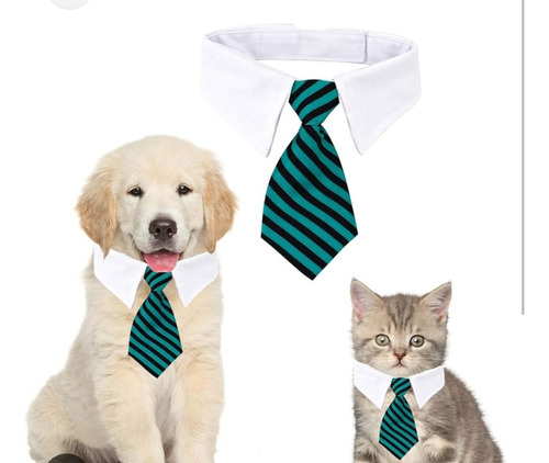 Corbata Formal Con Cuello Para Gatos Y Perros Pequeños 