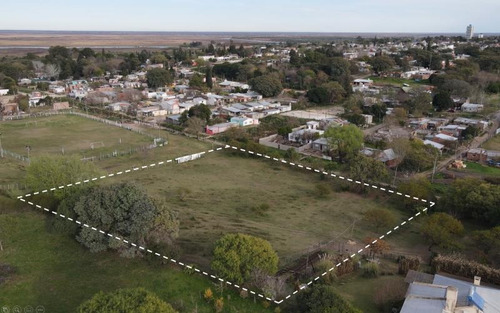 Imagen 3 de 14 de Terreno De 5.500 M2 En Zona De Quintas, Excelente Oportunidad