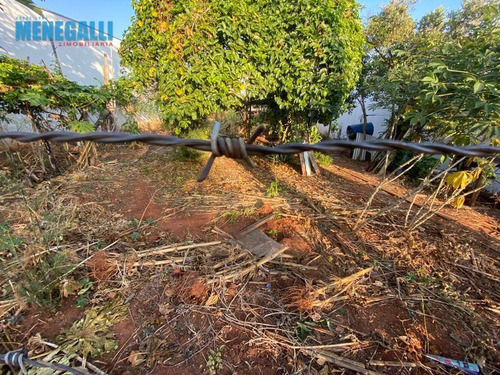 Imagem 5 de 8 de Terreno Parque Chapadão - Te0413