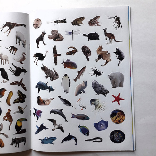 Libro De 100 Stickers: Animales - Flowerpot Press
